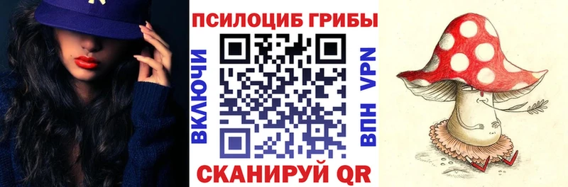 Псилоцибиновые грибы Psilocybe  Купить  Устюжна 